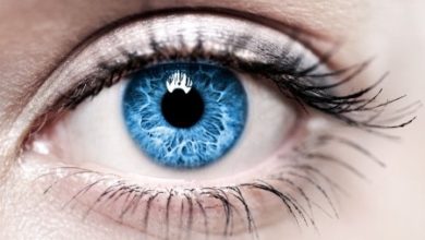 Фото - Как цвет глаз связан с состоянием здоровья