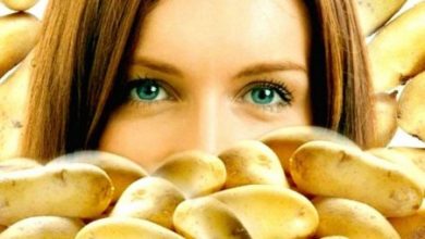 Фото - Учёные доказали, что картофель полезен для женского тела
